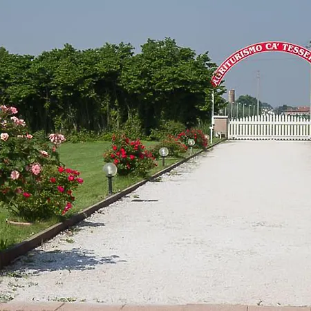 Ca' Venice Airport 테세라
